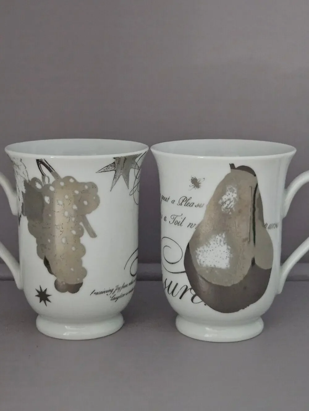 Pottery Barn Cups White Porcelain Fruit Pattern Mug - Silver Accent Set of 2 CA